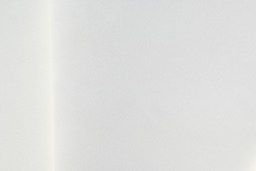 abstract white background, paper page texture for cover design presentation