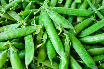 Fototapeta premium Green pea. Background of green peas. Proper nutrition.