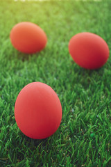 red easter egg on lawn green grass artificial, image of morning springtime concept