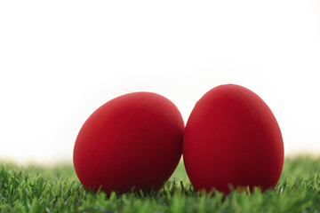 red easter egg on lawn green grass artificial with blank white background