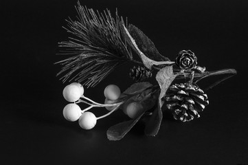 composizione in bianco e nero con pinoli