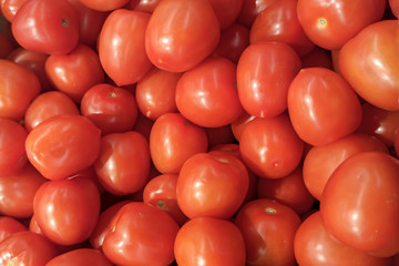 Lots of ripe red tomatoes in the sunlight close up. Natural background of vegetables.