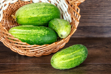 Fresh green cucumbers in a wicker basket_
