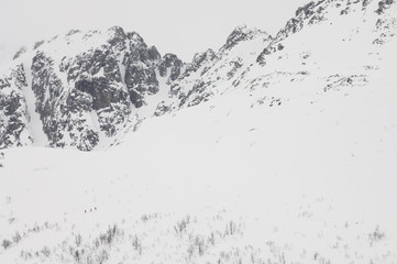 Randonee skiers in a mountain landscape