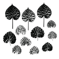 Black imprints of tree leaves on a white background. A set of silhouetted leaves. Stock vector illustration.