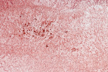 pretty shabby limestone texture for background use.
