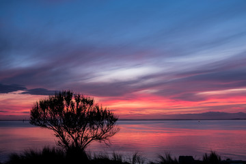 Fototapeta na wymiar An ocean sunset beyond tree and grass silhouette