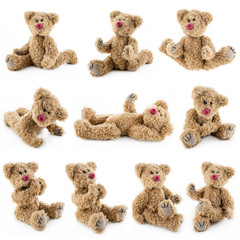 Brown teddy bear sitting in different positions