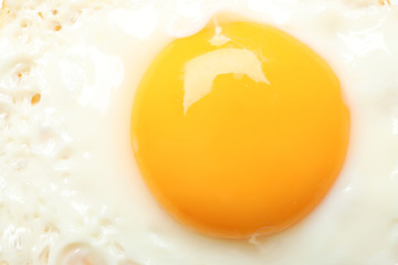 Delicious fried egg on whole background, macro
