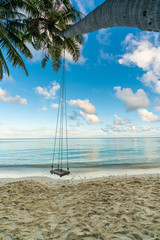 Swing hangs under coconut tree in beautiful tropical Maldives beach in Massfushi Island, Maldives.