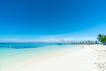 Fototapeta na wymiar Beautiful tropical beach and blue sky in Maafushi Island, Maldives