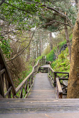 Obraz premium Wooden stairs in the middle of nature for walking and running