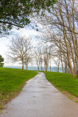 Small path in the middle of a park for exercise and running outdoors