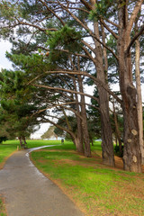 Small path in a natural park surrounded by trees for exercise and running