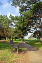 Small path in a natural park surrounded by trees for exercise and running