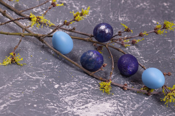 Easter composition - a few blue eggs and a branch of greenery on a gray table. space for text, copy space