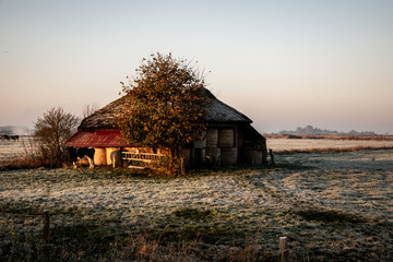 Stall im Winter