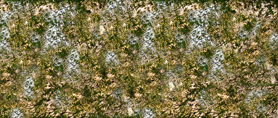 green moss on a wall