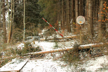 waldweg im schwarzwald, der nach einem sturmschaden gesperrt wurde