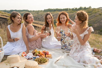 The company of gorgeous female friends having fun, drink wine, and enjoy hills landscape picnic
