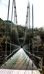 bridge over the river