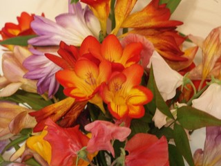Feesias Warm Bouquet