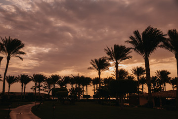 Obraz premium Sunset in the tropical location
