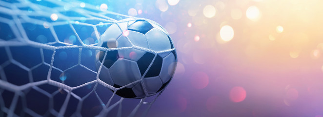 Soccer Ball in Goal