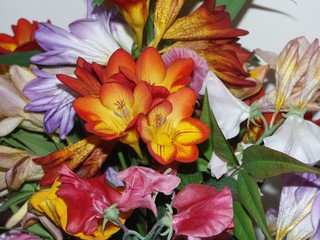 Feesias en Bouquet