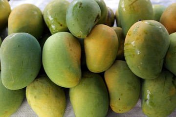 ASIA THAILAND HUA HIN FRUITS MANGO