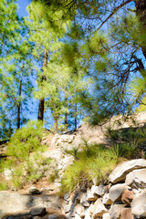 beautiful mountain landscape on the island of Tenerife