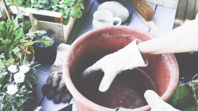 Fr&uuml;hling, Blumen und Pflanzen in Tont&ouml;pfe einpflanzen. 
