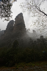 "Góry Awatarowe" w Chinach - Trekking w deszczu © Miroslaw