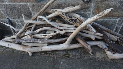 driftwood