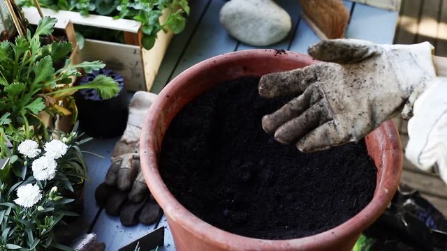 Fr&uuml;hling, Blumen und Pflanzen in Tont&ouml;pfe einpflanzen. 
