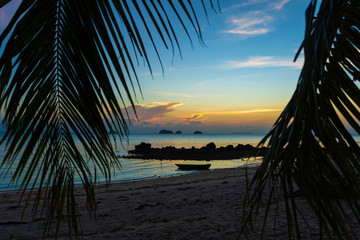 View through the leaves of palm trees on the ocean. There is a wooden boat on the water. Sunset. Sand beach. Romance