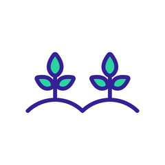 plant in the garden icon vector. Thin line sign. Isolated contour symbol illustration