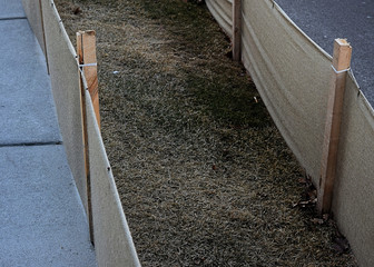 spring break cr2020darrelljbanks