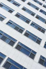 windows of modern building