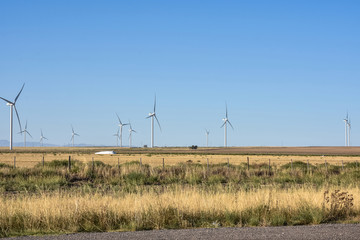 Wind farm in the Pampas plain