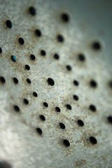 closeup of texture