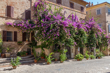 HIstorical center of Corinaldo with stone houses, chucrh, steps and flowers