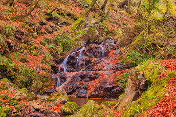 A stream in the Aspromonte national park, which forms the Scherni waterfall, in the territory of Piminoro.
