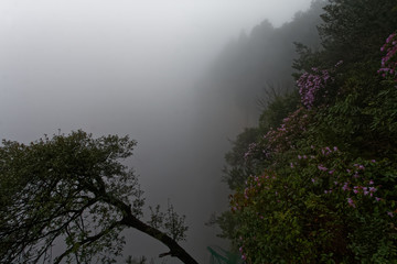 "Góry Awatarowe" w Chinach - Trekking w deszczu © Miroslaw