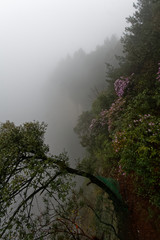 "Góry Awatarowe" w Chinach - Trekking w deszczu © Miroslaw