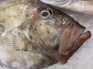 Frischer Petersfisch oder Saint-Pierre an einem Fischstand in der Markthalle von Santiago de...