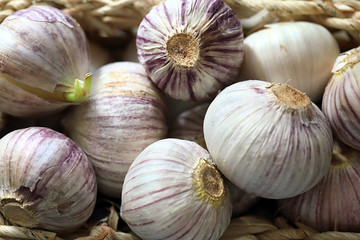Garlic in a wicker basket.