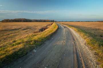 Fototapeta na wymiar Dirt road through dry meadows in evening view, Srebrzyszcze, Poland