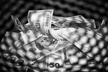 The American dollar and the euro accidentally lie on a black background, view through a black lattice. Concept, money dependence, cash dollars and euros.