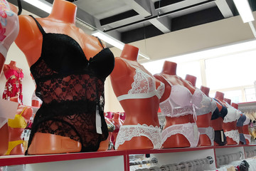 .a row of mannequins in a store dressed in lace underwear of different colors.